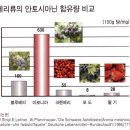 아로니아의 효능 이미지