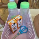 청봉초등학교 | 속초 앵무새 카페, 리프패럿 속초점 방문 후기