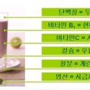 허벌라이프 - 고양시 덕양구 관산동 | 허벌라이프