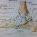 동그라미한의원 이미지