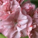 찬구농장 이미지