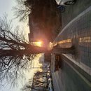 팔장선원 이미지