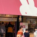 궁오락실 이미지