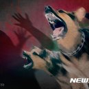 하나로가축병원 이미지