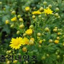 경중농장 이미지