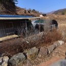 추평농장 네이버블로그