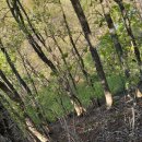 대대3리 이미지