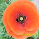 선산대로-20 이미지