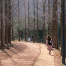 황토메타길 이미지