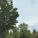 계명농장 | Book : 동물농장 - 조지 오웰 장편소설 (문지혁 옮김) 10월의 남인책 📚