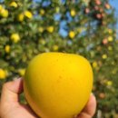 안동농원 이미지