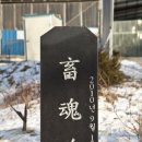 반햇소농장 네이버블로그