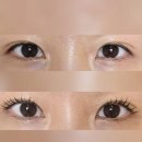 파라곤1층약국 | [하남미사 속눈썹펌] 유어리즈 | 콜라겐 &amp; 블랙틴팅 후기