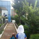 포곡초등학교(병설) 이미지