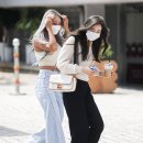 다솜