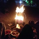 행복나무 이미지