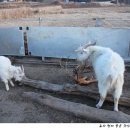 창연농장 이미지