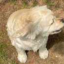 책속에풍덩villa 이미지