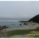 기성망양 이미지