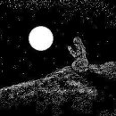 월광컴퓨터 이미지