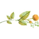 나운세탁소 이미지