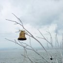 (주)리드메드 이미지