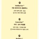 엉킨 | 너티포비실키글라이드컨디셔너 강아지노워시 로션으로 비숑 엉킨털 관리 쉬워진 후기