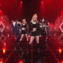 위너디디 네이버블로그