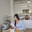 직산-03 | 25. 03. 22 (+ h생일)