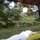 곡성-055 이미지