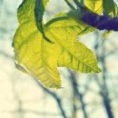 고려모텔 이미지