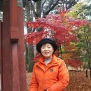 해인사 소리길 이미지