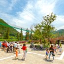 곡성-167 이미지