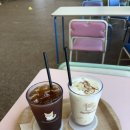 멈무아 | 부산 사하 다대포 실내 100평 애견카페 추천[멈무아]