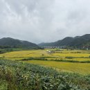 평화누리자전거길 7코스 | ﻿#평화누리자전거길 #철원 - #연천 구간 #우중라이딩