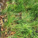 백천농장 이미지