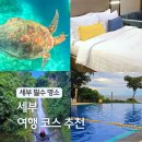 파마트엘지약국 | 필리핀 세부 자유여행 일정 추천 숙소 호핑투어 후기 가볼만한곳 필수 코스