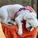 뭉텅평촌점 이미지