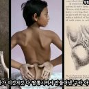 인간은 7번째 실험체이다. 이제 그들이 몰려온다 - Lacerta Files 통합 버전. 이미지