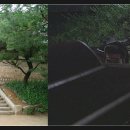 변*식 이미지