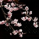 동산(중방) 이미지