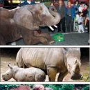 덕진동-12(동물원) 이미지