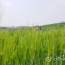 광신농장 이미지