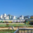 덕천초등학교_상 | 덕천동카페 추천 디저트가 너무 맛있었던 읍천리382