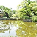 유당공원 내 비군 이미지