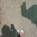 쎄렌체 팬션 이미지