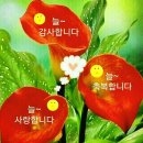 자연사랑펜션 이미지