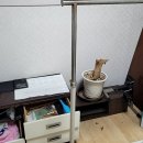 간석1동-38 이미지