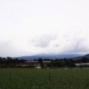 제주 올레길 7코스 이미지