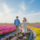 안성천 쉼터 | 안성 가볼 만한 곳 안성팜랜드 후기와 계절별 즐길 거리 총정리